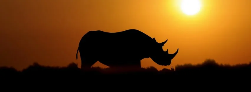 RhinoSun