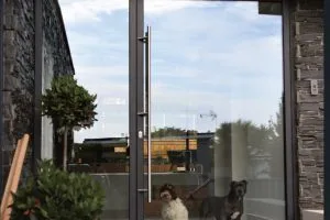 pivot entrance doors UK